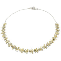Collar Dolce M PL