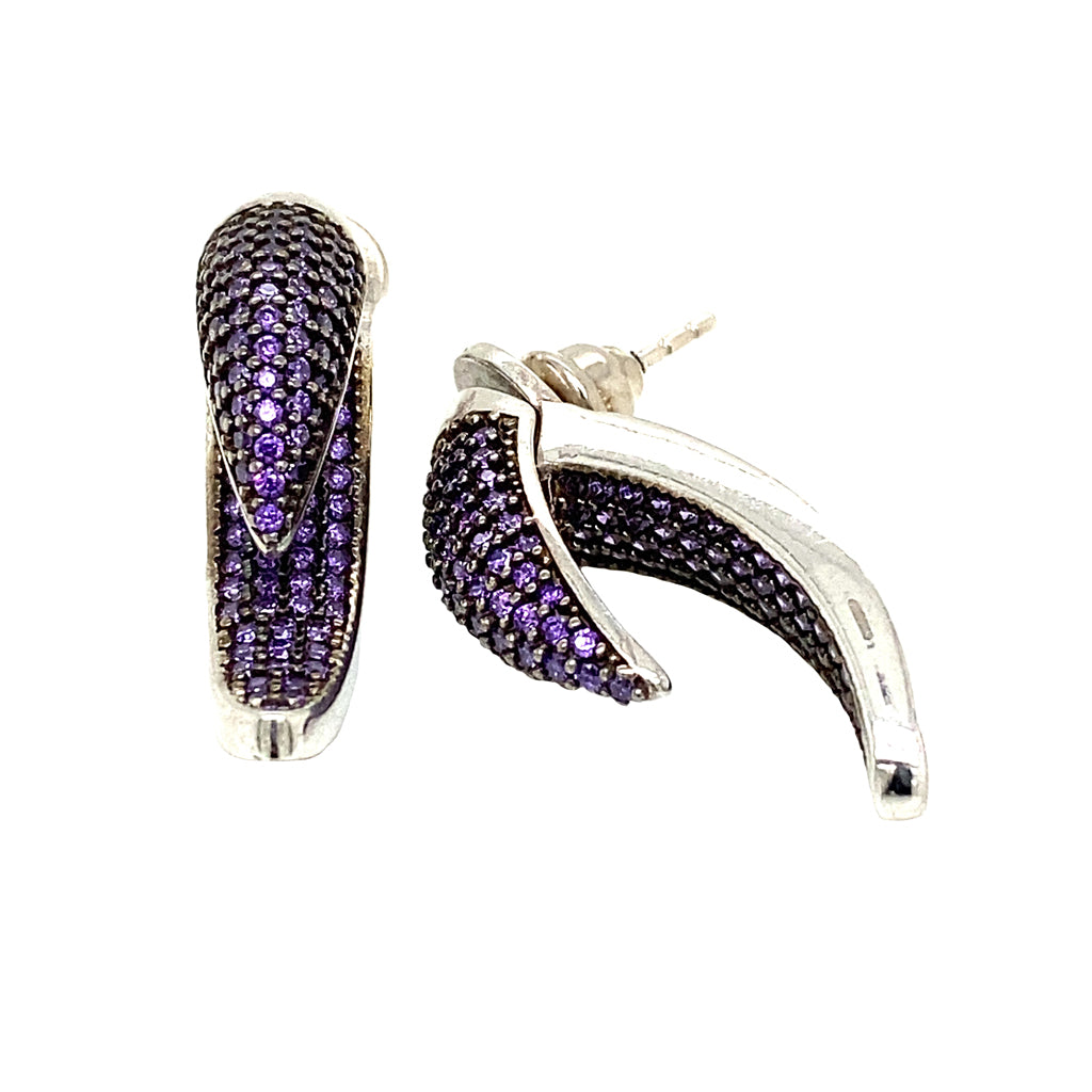 Aretes de Garra