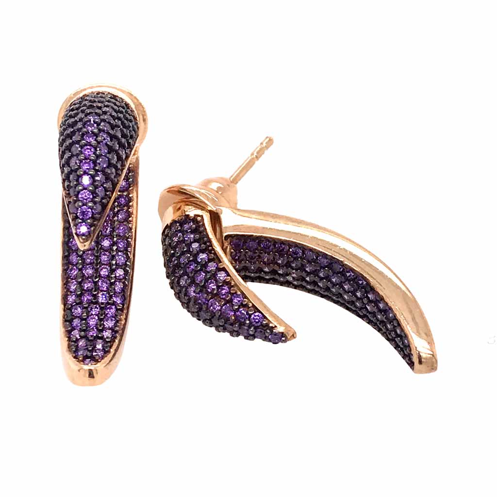 Aretes de Garra