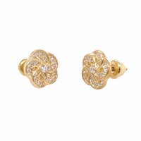 Aretes Lucky