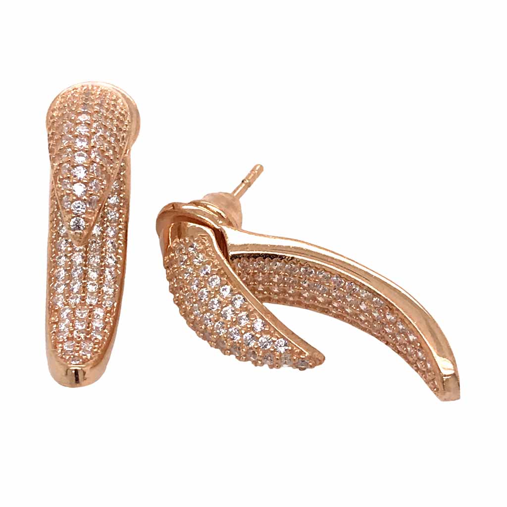Aretes de Garra