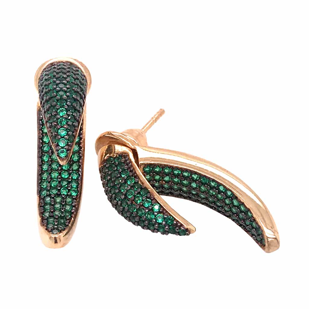 Aretes de Garra
