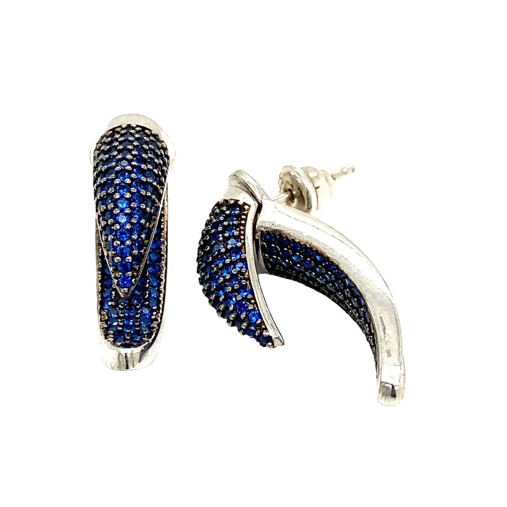 Aretes de Garra