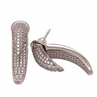 Aretes de Garra