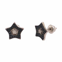 Aretes de Estrella