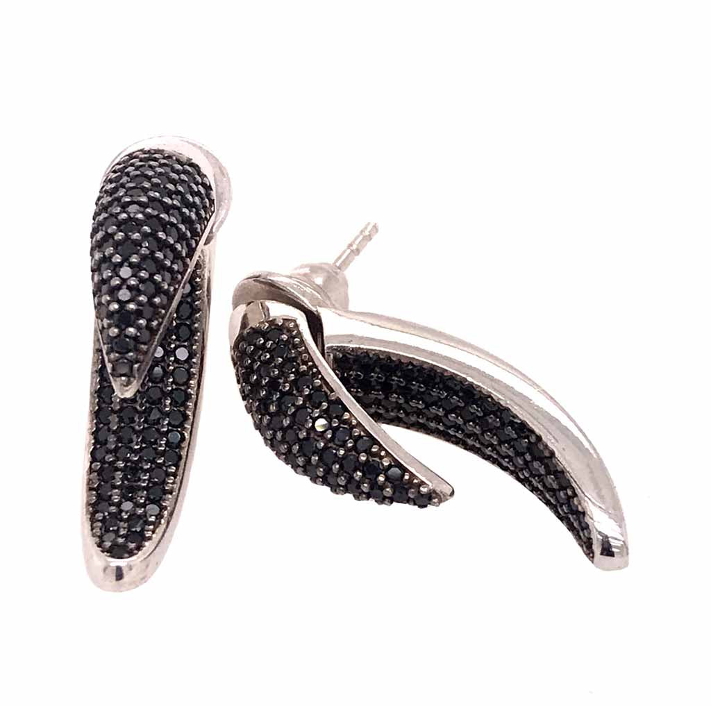 Aretes de Garra