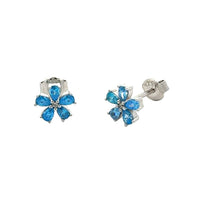 Aretes Dolce 1 PL