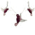 Hummingbird Set