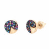 Aretes Denali