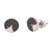 Aretes Denali